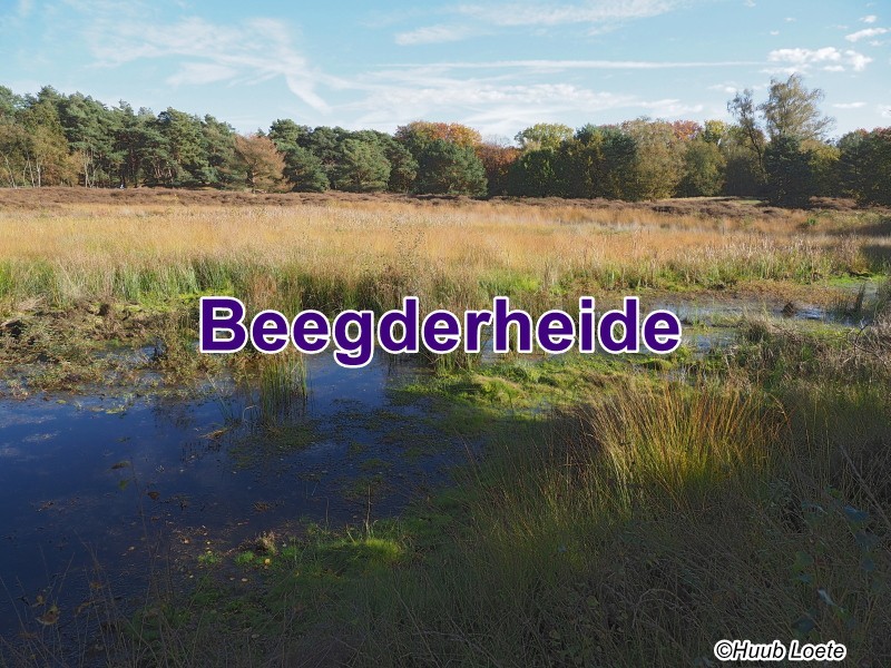 Second slide image