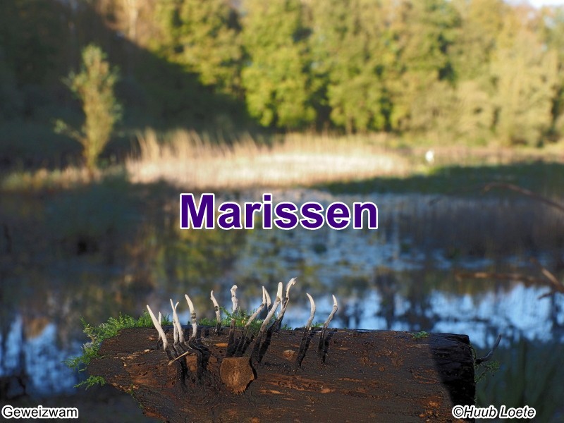 Second slide image