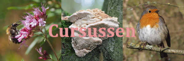 Thumbnail Image 1