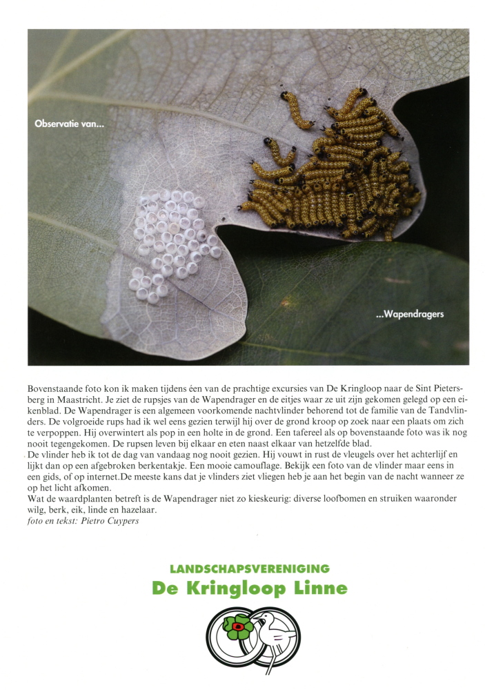 Third slide image